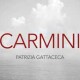 Centre Culturel Universitaire : Patrizia Gattaceca - Carmini 2019